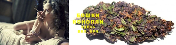 ГАЛЛЮЦИНОГЕННЫЕ ГРИБЫ Алексеевка