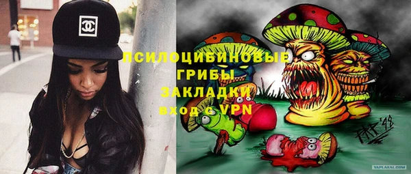 МДПВ Алексин