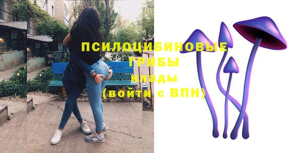 ГАЛЛЮЦИНОГЕННЫЕ ГРИБЫ Алексеевка